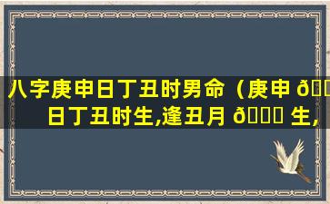 八字庚申日丁丑时男命（庚申 🐴 日丁丑时生,逢丑月 🐎 生,行金火运,命主官至极品）